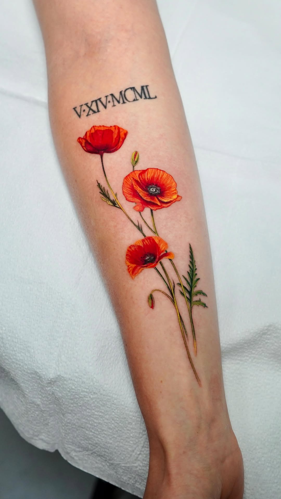 Flower, Rose, 양귀비