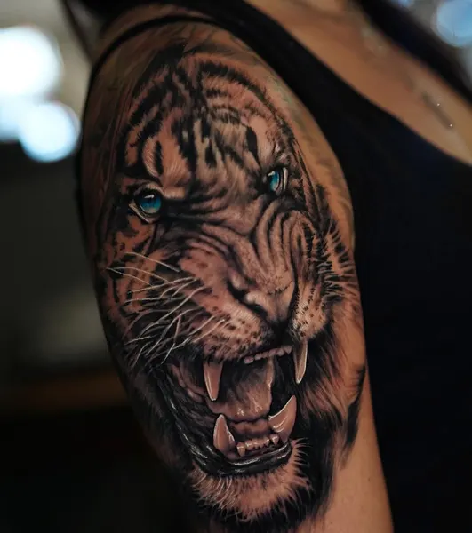 Tiger, 재규어, 중국 호랑이, 한국 호랑이