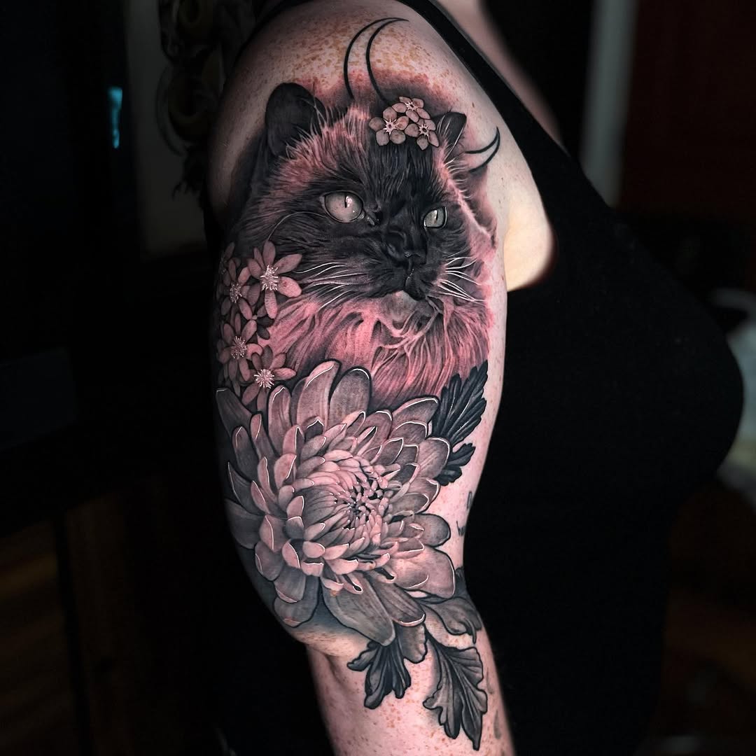 Tiger, Animal