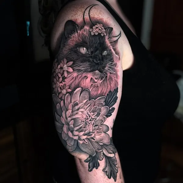 Tiger, Animal