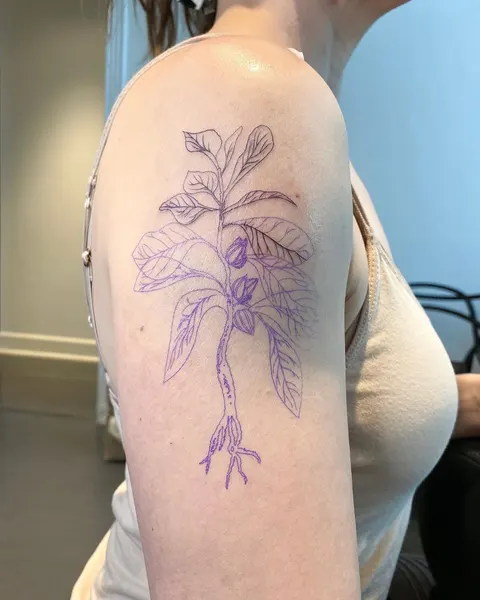 Flower, Rose, 뿌리, 난초, 라벤더