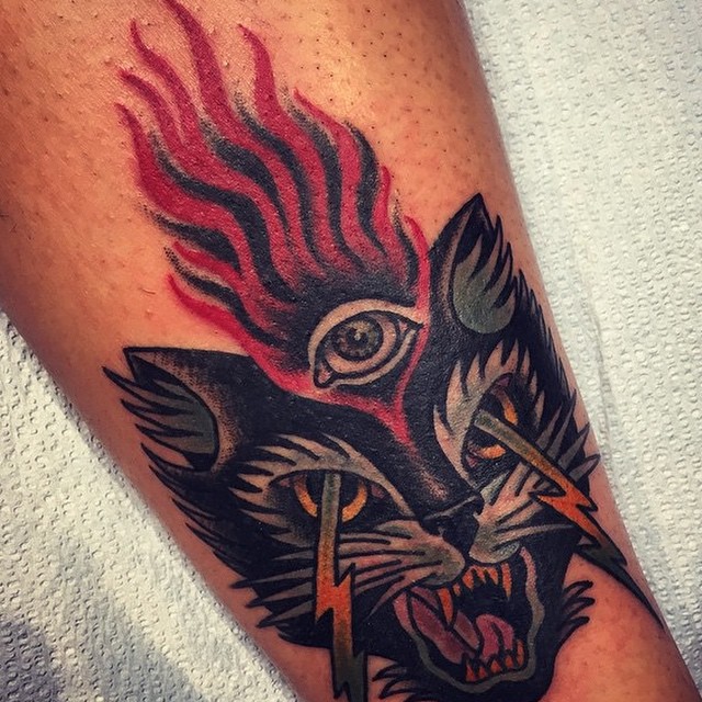 Animal, Tiger