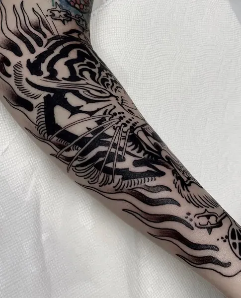 Tiger, 치타