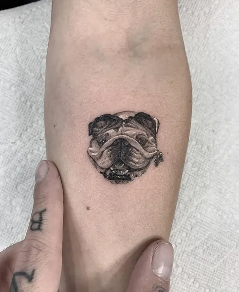 romeolacoste