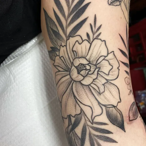 Flower, Rose