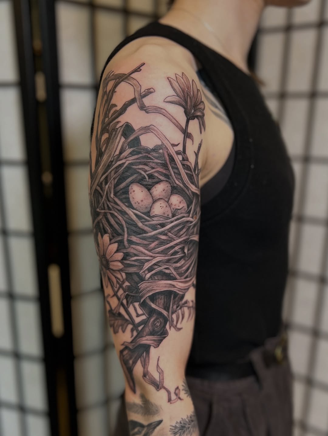 shawn_hebrank