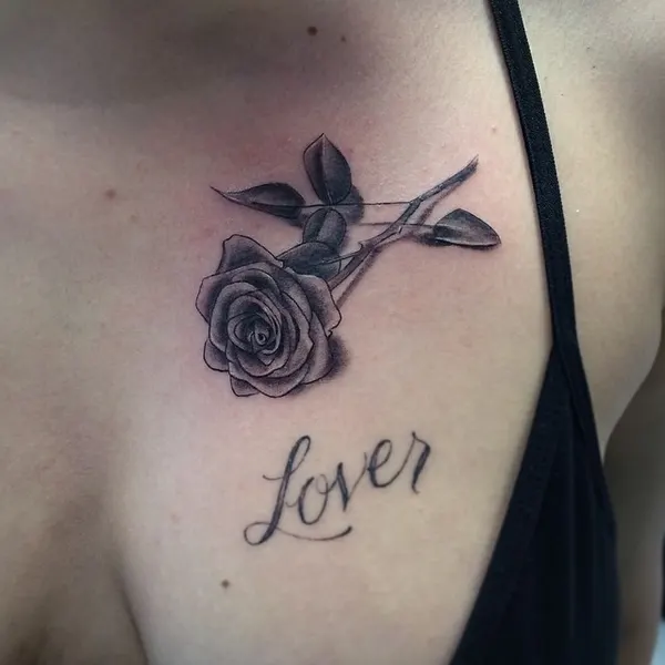 Flower, Rose, Nature