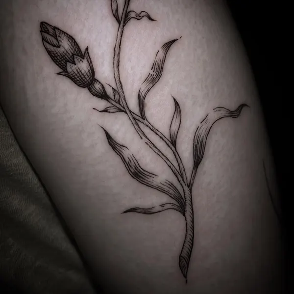 Rose, Flower