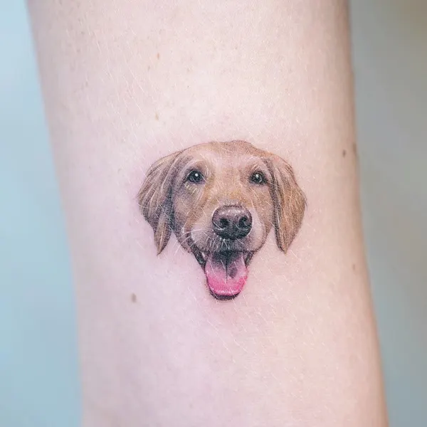 Animal, 강아지, 반려동물 추모