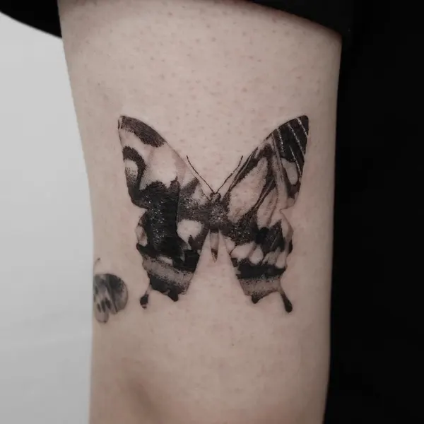Animal, Nature