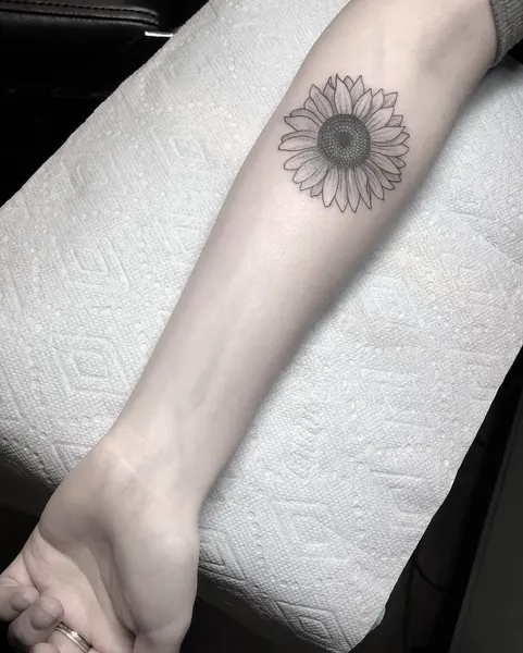 Flower, 데이지, 해바라기
