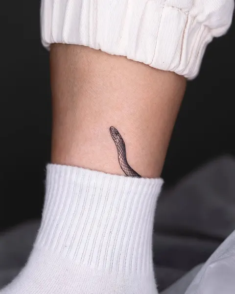 Dragon, 지네, 도마뱀