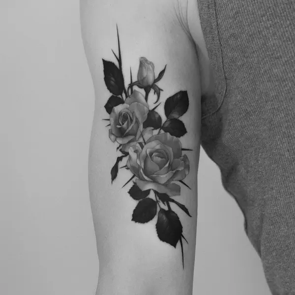 Flower, Rose, Nature