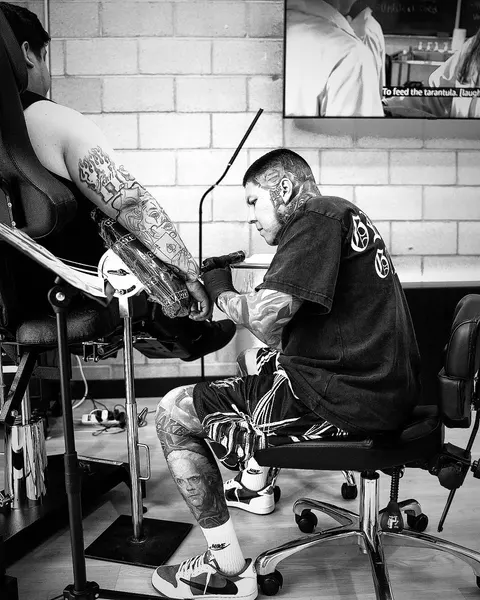 frank310