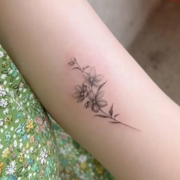 Flower, 멘디, 풀, 한글, 대나무, 민들레, 카네이션, 덩굴, 라벤더, 야생화, 은행잎, 작은 타투