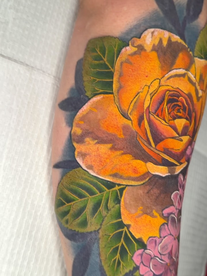 Flower, Rose