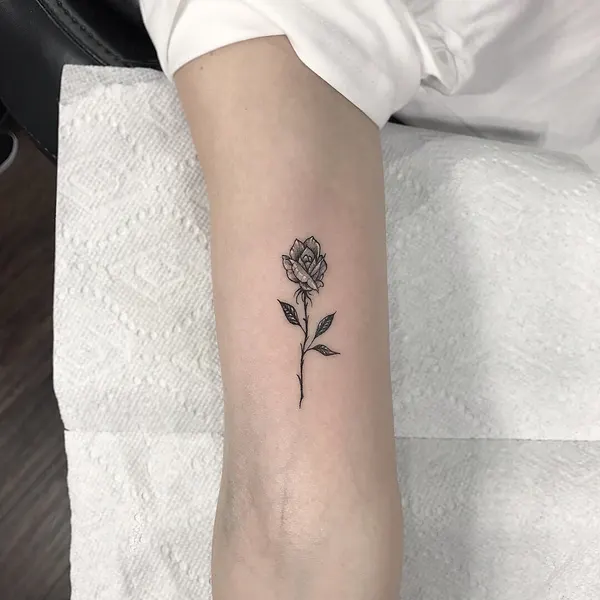 Flower, Rose