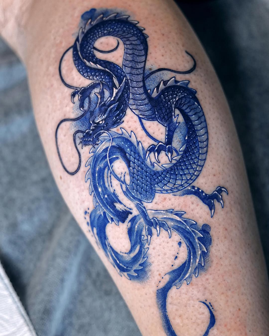 Dragon, 중국 용, 일본 용