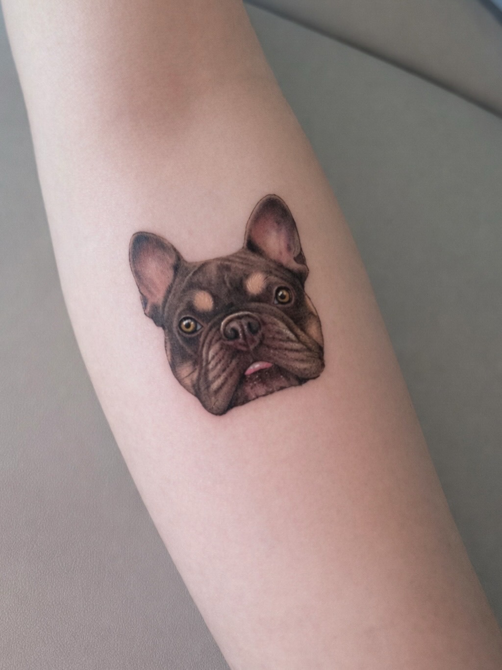 Animal