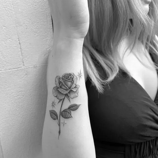 Flower, Rose