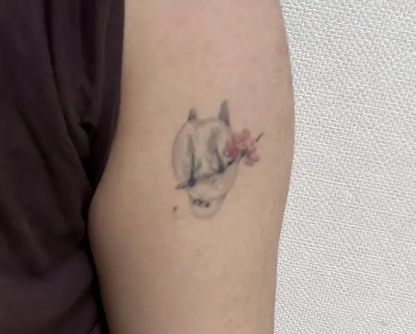 매, 학, 공작, 날개, 까마귀
