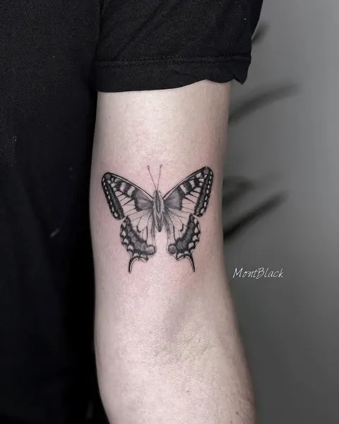 Animal, Nature, 나방