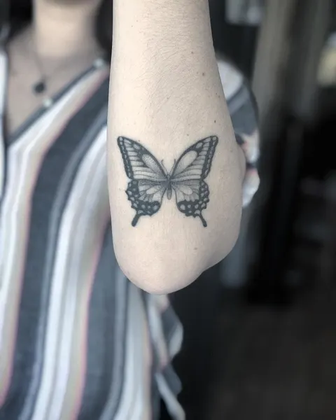 Animal, Nature, 나방