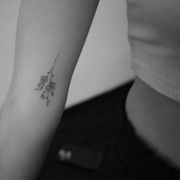 mnsantanatattoo