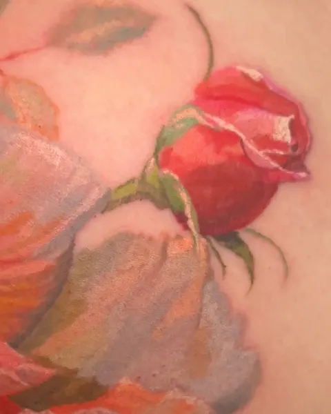 Flower, Rose, Nature