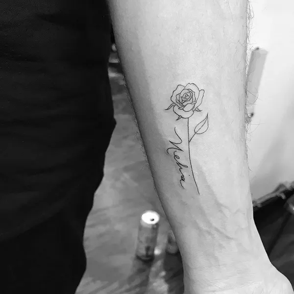 Flower, Rose