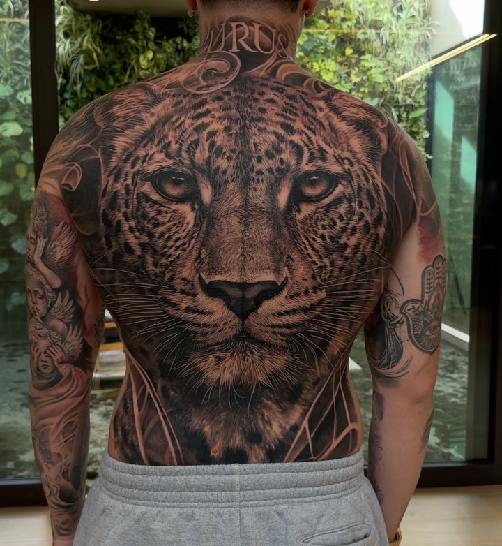 Animal, 표범, 재규어, 치타