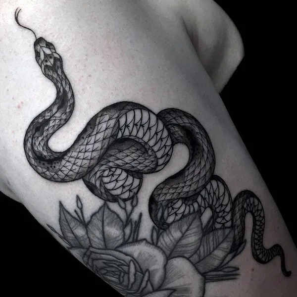 Snake