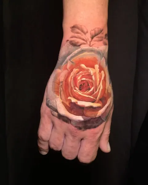 Flower, Rose, Nature