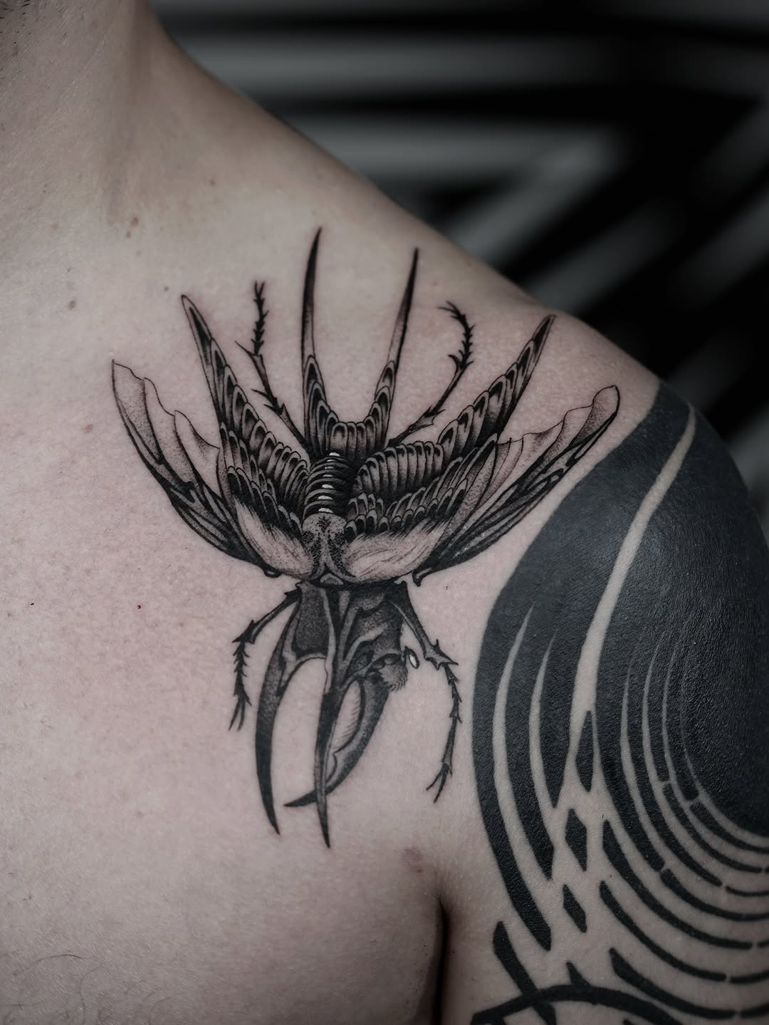 joshstephenstattoos