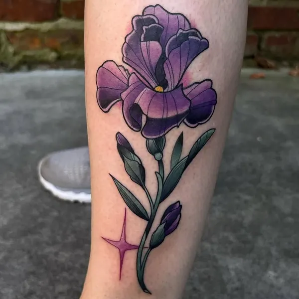 Flower, 아이리스, 난초, Rose