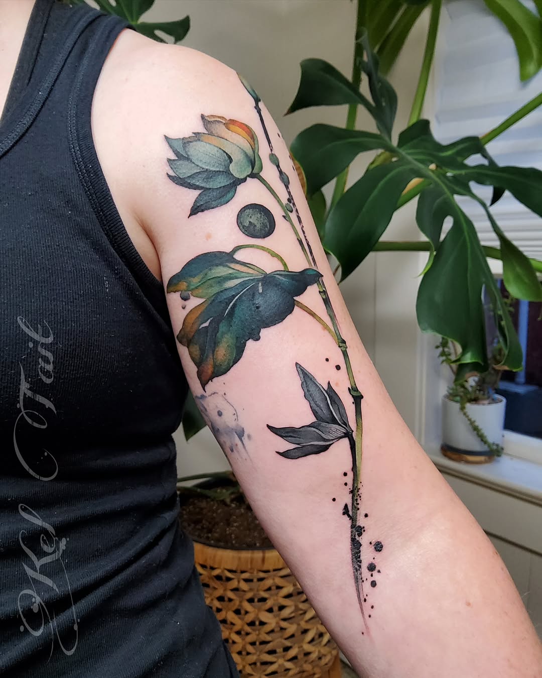 Flower, Rose, Nature
