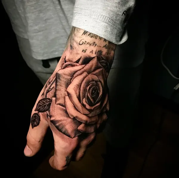 Flower, Rose
