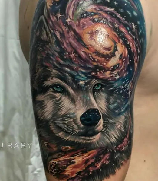 Tiger, Animal