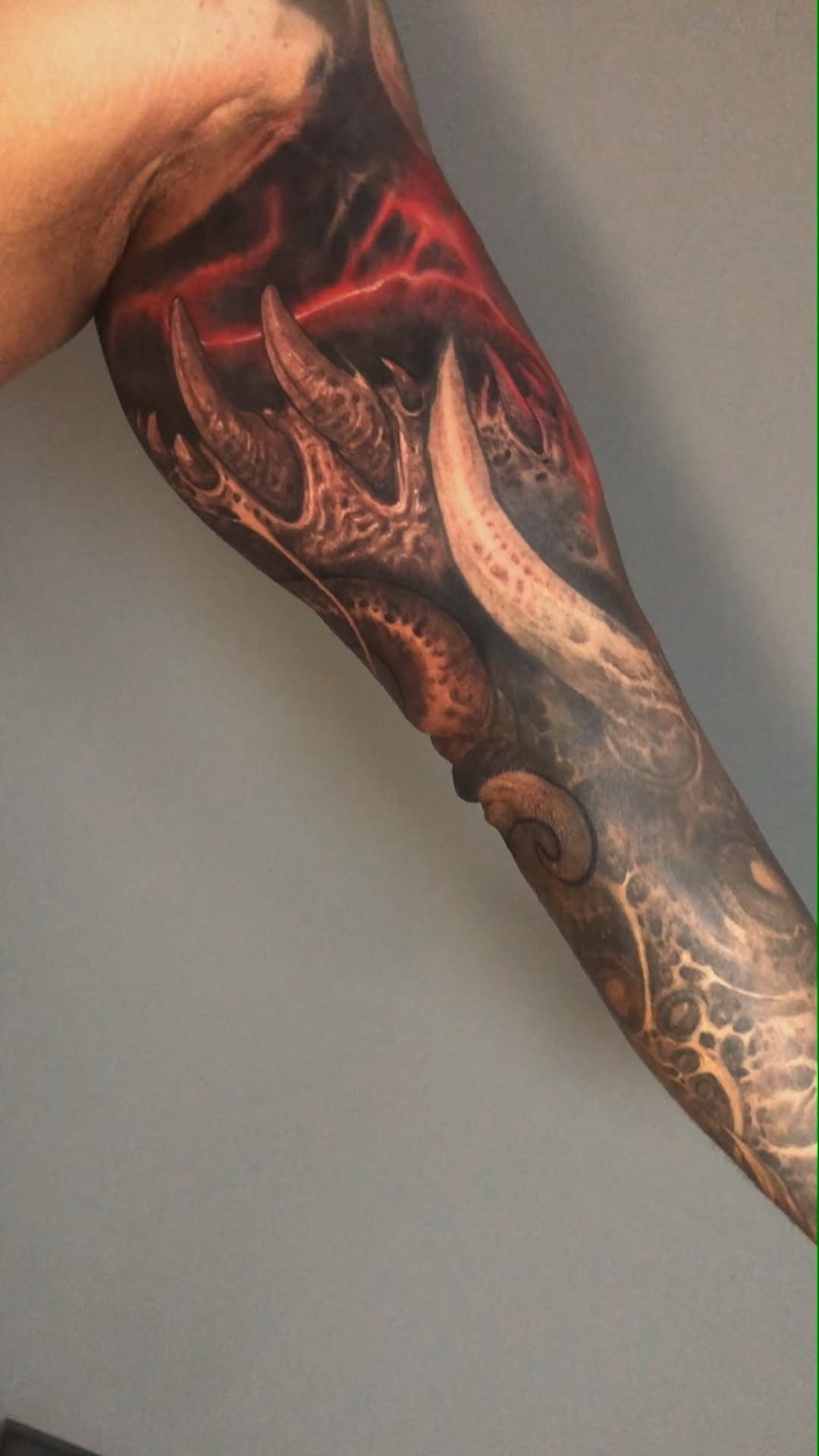Dragon, 크라켄, 케르베로스