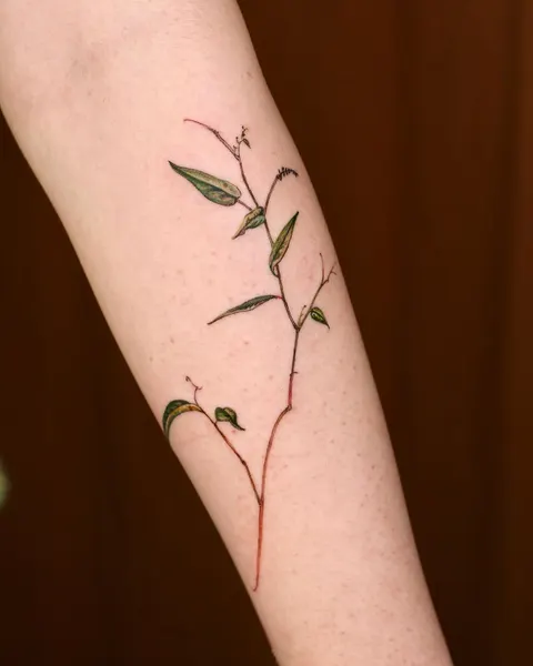 Flower, 풀, Rose