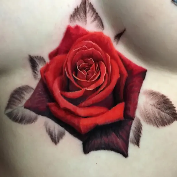 Flower, Rose, Nature