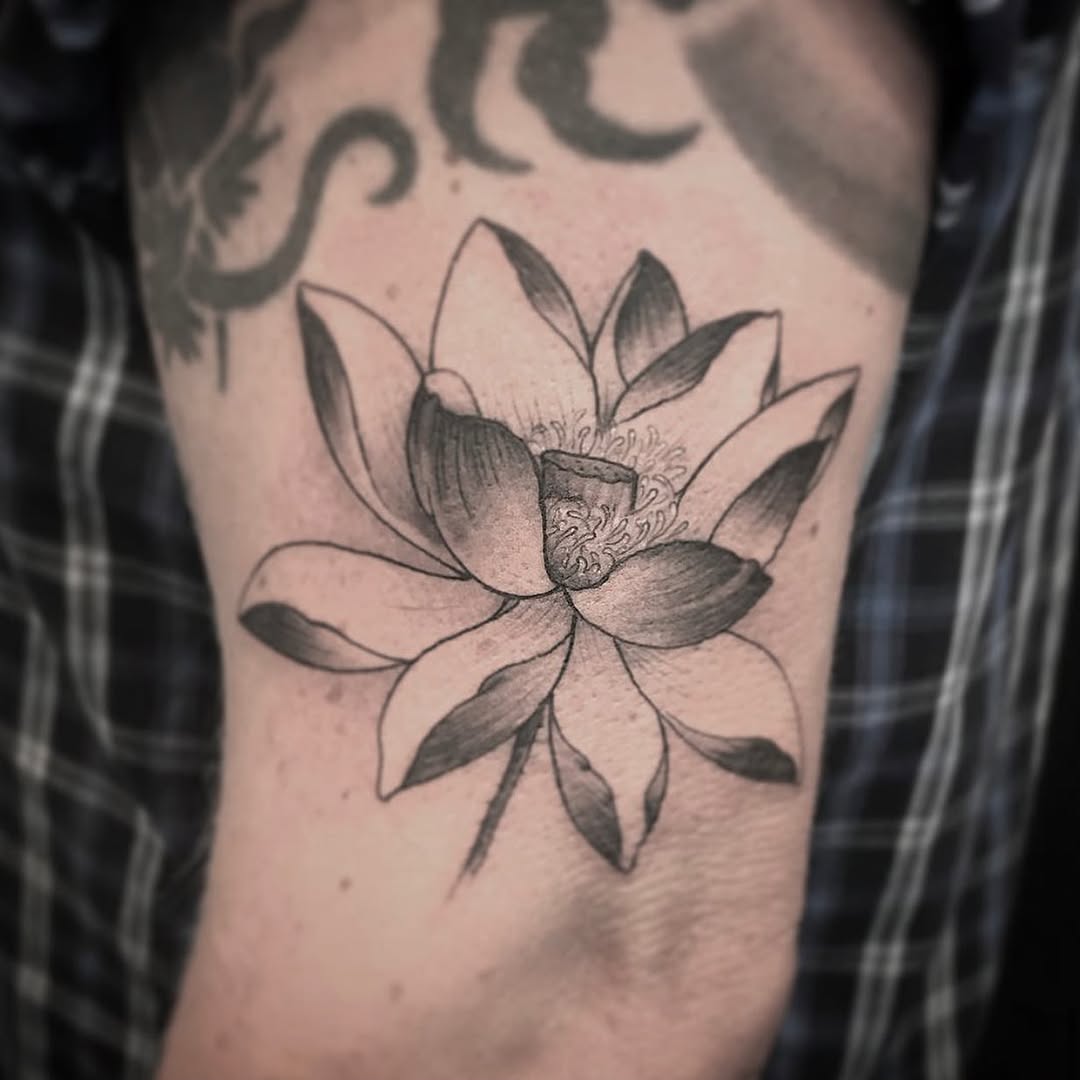 Flower, 연꽃, 한국 연꽃