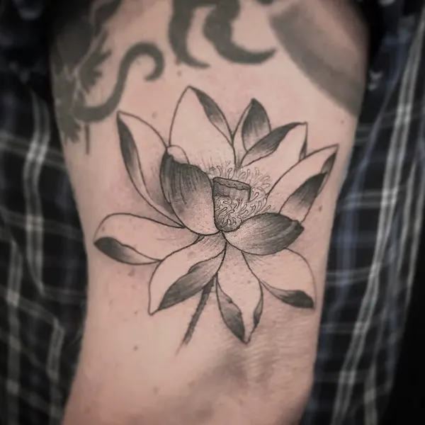 Flower, 연꽃, 한국 연꽃