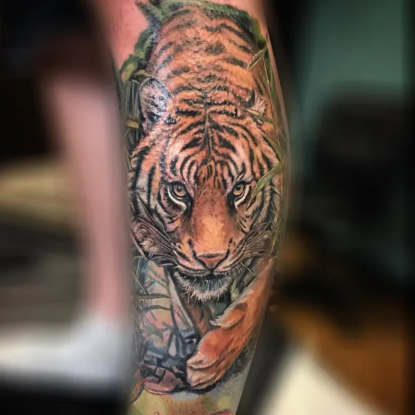 Tiger, 한국 호랑이