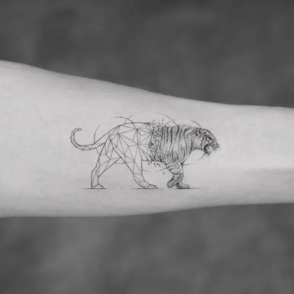 소, Tiger