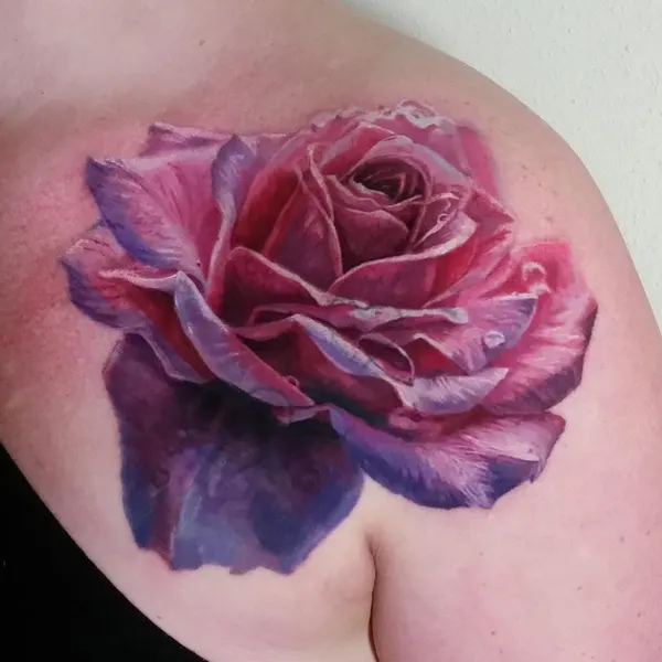 Flower, Nature, Rose