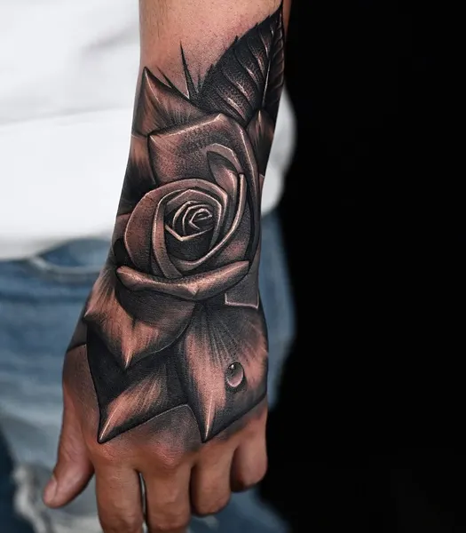 Flower, Rose