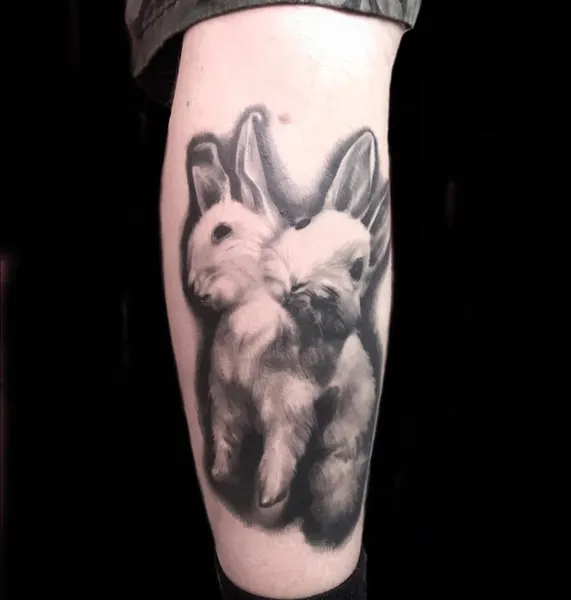Animal, 토끼