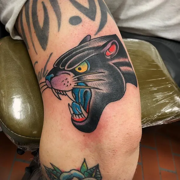 Animal, Tiger
