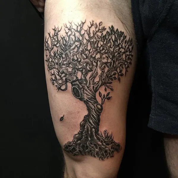 Nature, 나무, 소나무